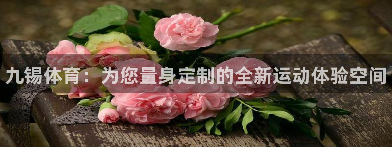 新球体育英超：九锡体育：为您量身定制的全新运动体验空间