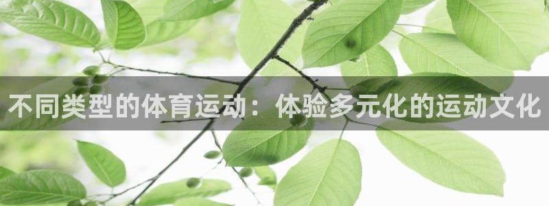新球体育即时蓝球：不同类型的体育运动：体验多元化的运动文化