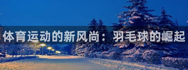 新球体育法甲：体育运动的新风尚：羽毛球的崛起