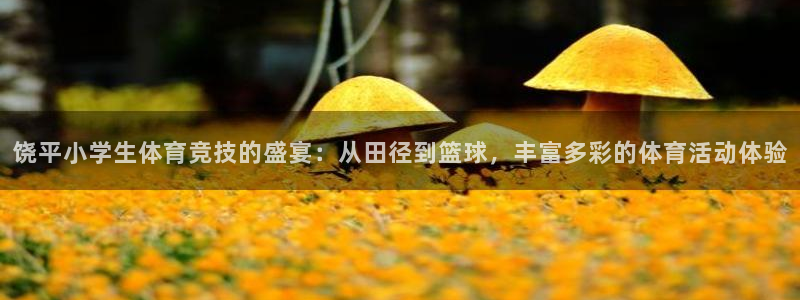 新球体育比分：饶平小学生体育竞技的盛宴：从田径到篮球，丰富多彩的体育活动体验