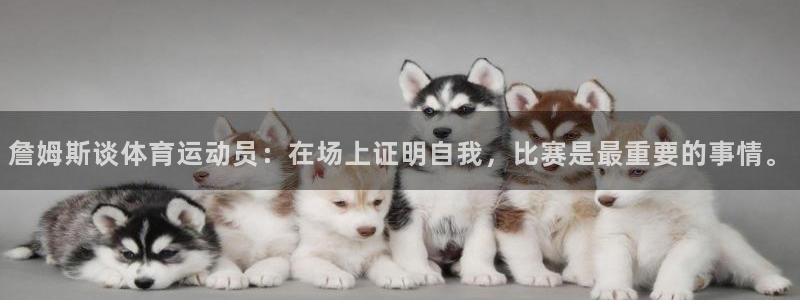 新球体育比分最新赛程：詹姆斯谈体育运动员：在场上证明自我，比赛是最重要的事情。