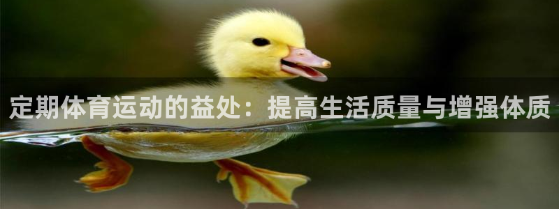 新球体育比分最新赛程：定期体育运动的益处：提高生活质量与增强体质