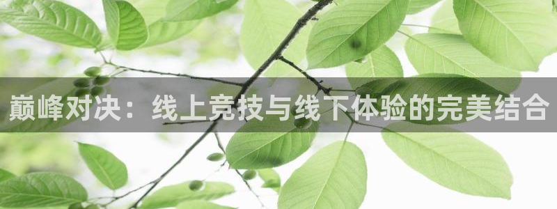 新球体育比分网官网入口：巅峰对决：线上竞技与线下体验的完美结合