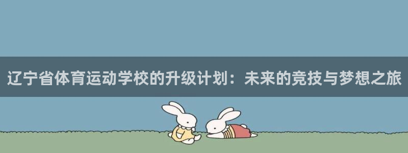 新球体育APP怎么注册：辽宁省体育运动学校的升级计划：未来的竞技与梦想之旅