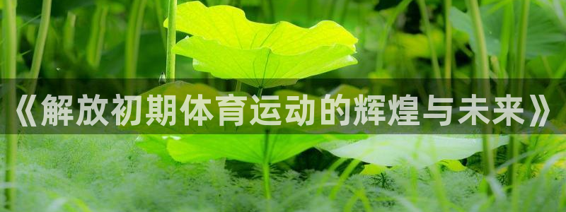 新球体育法乙联赛资料：《解放初期体育运动的辉煌与未来》